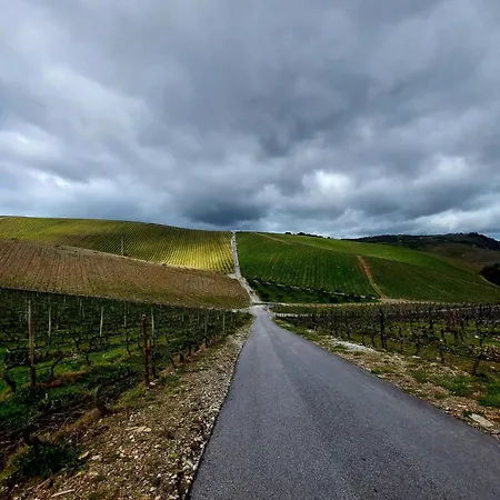 公寓 Varandas Da Alcacima Tarouca