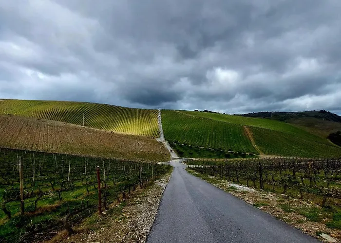 Apartman Varandas Da Alcacima Tarouca